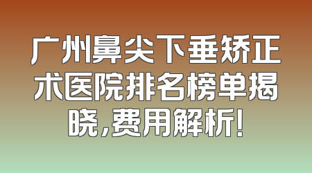 广州鼻尖下垂矫正术医院排名榜单揭晓，费用解析！