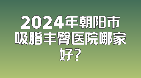 2024年朝阳市吸脂丰臀医院哪家好？