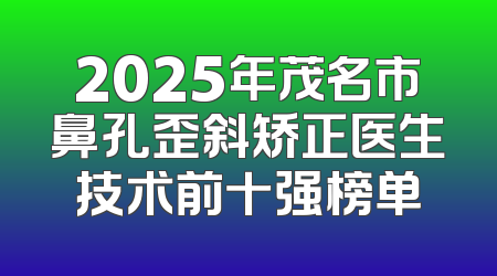 2025年茂名市鼻孔歪斜矫正医生技术前十强榜单