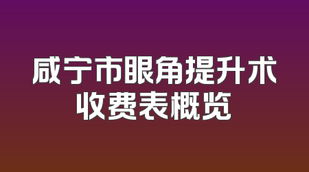 咸宁市眼角提升术收费表概览