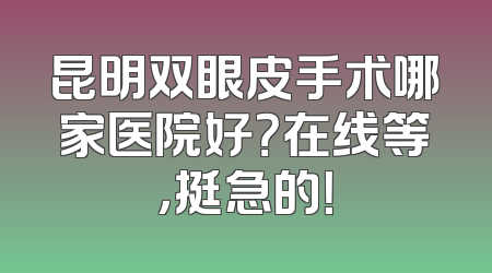 昆明双眼皮手术哪家医院好？在线等，挺急的！