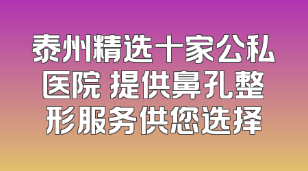 泰州精选十家公私医院 提供鼻孔整形服务供您选择