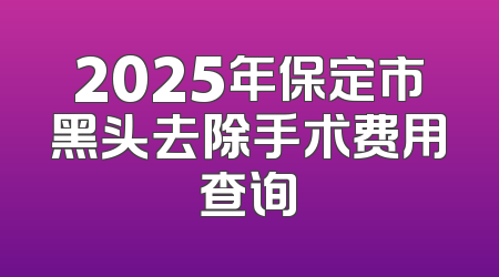 2025年保定市黑头去除手术费用查询