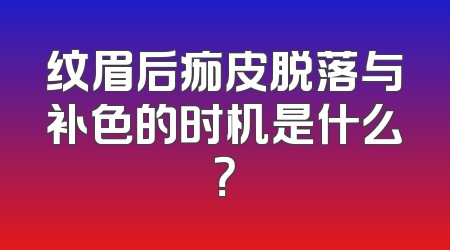 纹眉后痂皮脱落与补色的时机是什么？