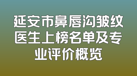 延安市鼻唇沟皱纹医生上榜名单及专业评价概览