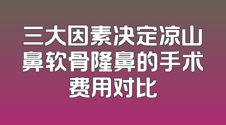 三大因素决定凉山鼻软骨隆鼻的手术费用对比