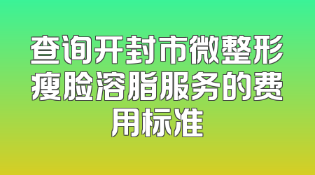 查询开封市微整形瘦脸溶脂服务的费用标准