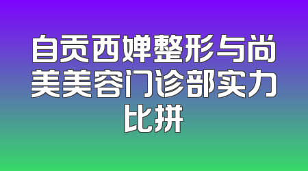 自贡西婵整形与尚美美容门诊部实力比拼