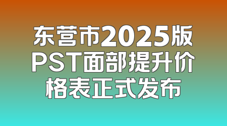东营市2025版PST面部提升价格表正式发布