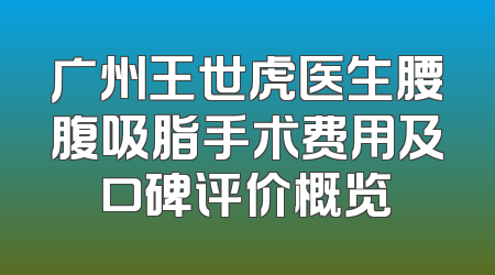 广州王世虎医生腰腹吸脂手术费用及口碑评价概览