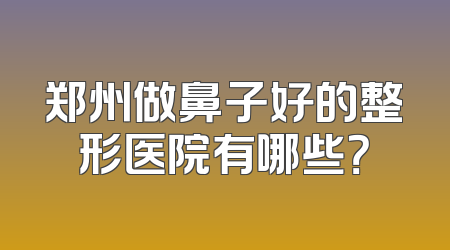 郑州做鼻子好的整形医院有哪些？