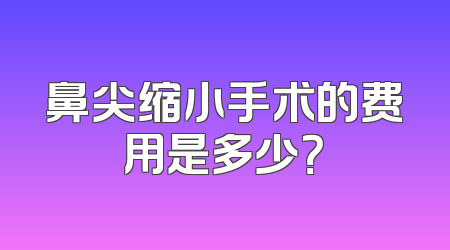 鼻尖缩小手术的费用是多少？