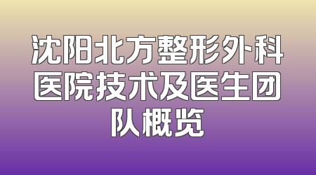 沈阳北方整形外科医院技术及医生团队概览