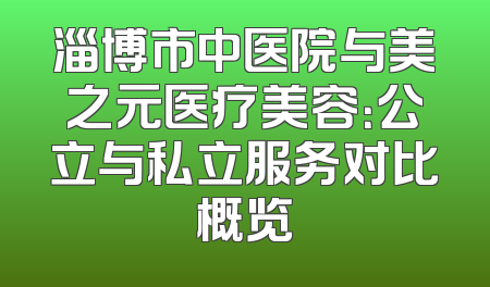 淄博市中医院与美之元医疗美容：公立与私立服务对比概览