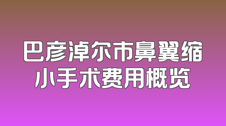 巴彦淖尔市鼻翼缩小手术费用概览