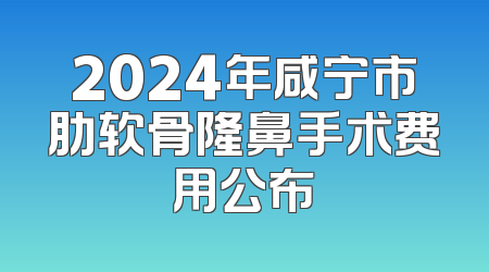2024年咸宁市肋软骨隆鼻手术费用公布