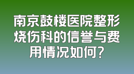 南京鼓楼医院整形烧伤科的信誉与费用情况如何？