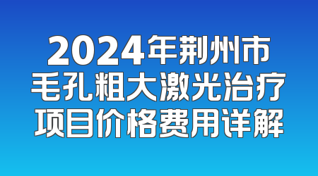 2024年荆州市毛孔粗大激光治疗项目价格费用详解
