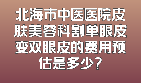 北海市中医医院皮肤美容科割单眼皮变双眼皮的费用预估是多少？