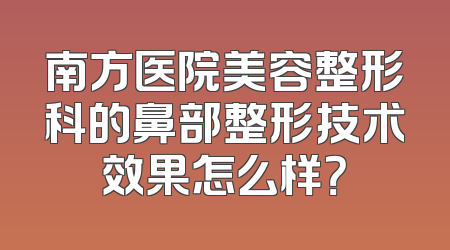 南方医院美容整形科的鼻部整形技术效果怎么样？