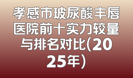 孝感市玻尿酸丰唇医院前十实力较量与排名对比（2025年）