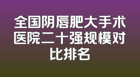 全国阴唇肥大手术医院二十强规模对比排名
