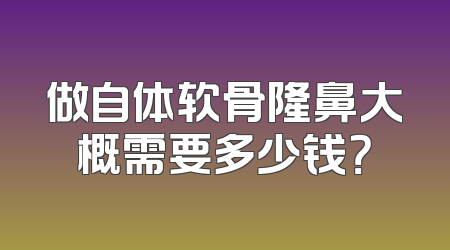做自体软骨隆鼻大概需要多少钱？