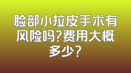 脸部小拉皮手术有风险吗？费用大概多少？