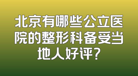 北京有哪些公立医院的整形科备受当地人好评？