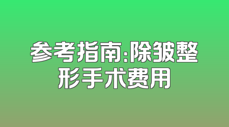 参考指南：除皱整形手术费用