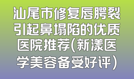 汕尾市修复唇腭裂引起鼻塌陷的优质医院推荐（新漾医学美容备受好评）