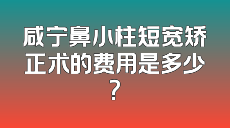 咸宁鼻小柱短宽矫正术的费用是多少？