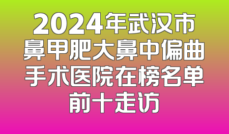2024年武汉市鼻甲肥大鼻中偏曲手术医院在榜名单前十走访