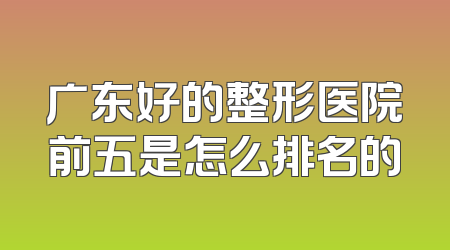 广东好的整形医院前五是怎么排名的