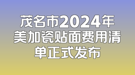 茂名市2024年美加瓷贴面费用清单正式发布