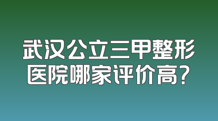 武汉公立三甲整形医院哪家评价高？