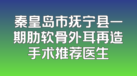 秦皇岛市抚宁县一期肋软骨外耳再造手术推荐医生