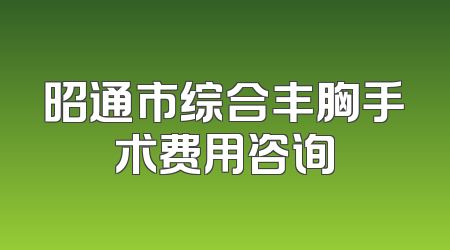 昭通市综合丰胸手术费用咨询