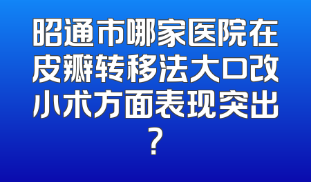 昭通市哪家医院在皮瓣转移法大口改小术方面表现突出？