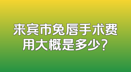 来宾市兔唇手术费用大概是多少？