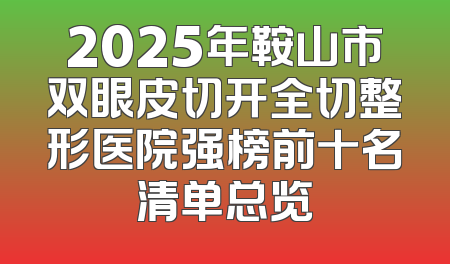 2025年鞍山市双眼皮切开全切整形医院强榜前十名清单总览