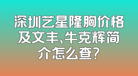 深圳艺星隆胸价格及文丰、牛克辉简介怎么查？