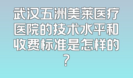 武汉五洲美莱医疗医院的技术水平和收费标准是怎样的？