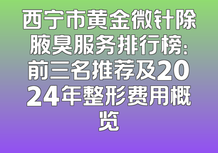西宁市黄金微针除腋臭服务排行榜：前三名推荐及2024年整形费用概览