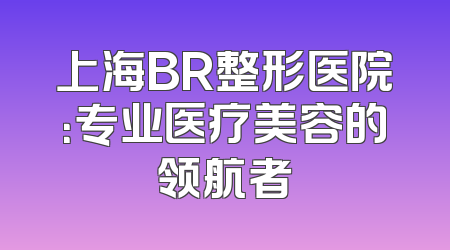 上海BR整形医院：专业医疗美容的领航者