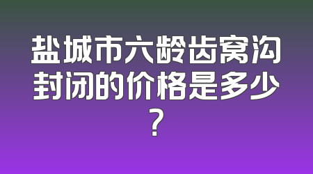 盐城市六龄齿窝沟封闭的价格是多少？