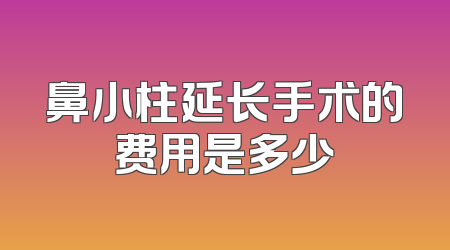 鼻小柱延长手术的费用是多少