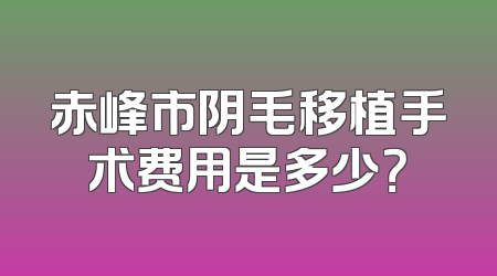 赤峰市阴毛移植手术费用是多少？