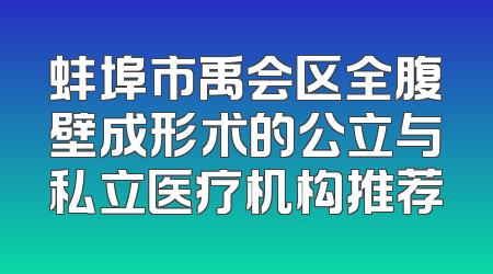 蚌埠市禹会区全腹壁成形术的公立与私立医疗机构推荐