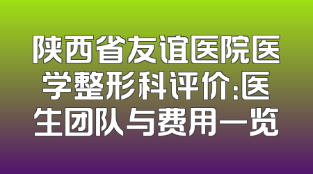 陕西省友谊医院医学整形科评价：医生团队与费用一览